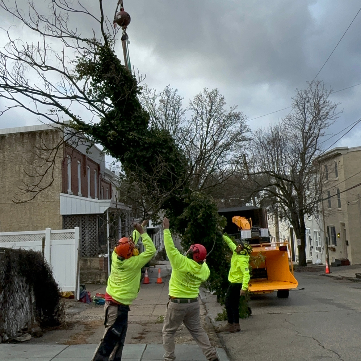 Cabanas Tree Expert crew providing tree service in Horsham, PA