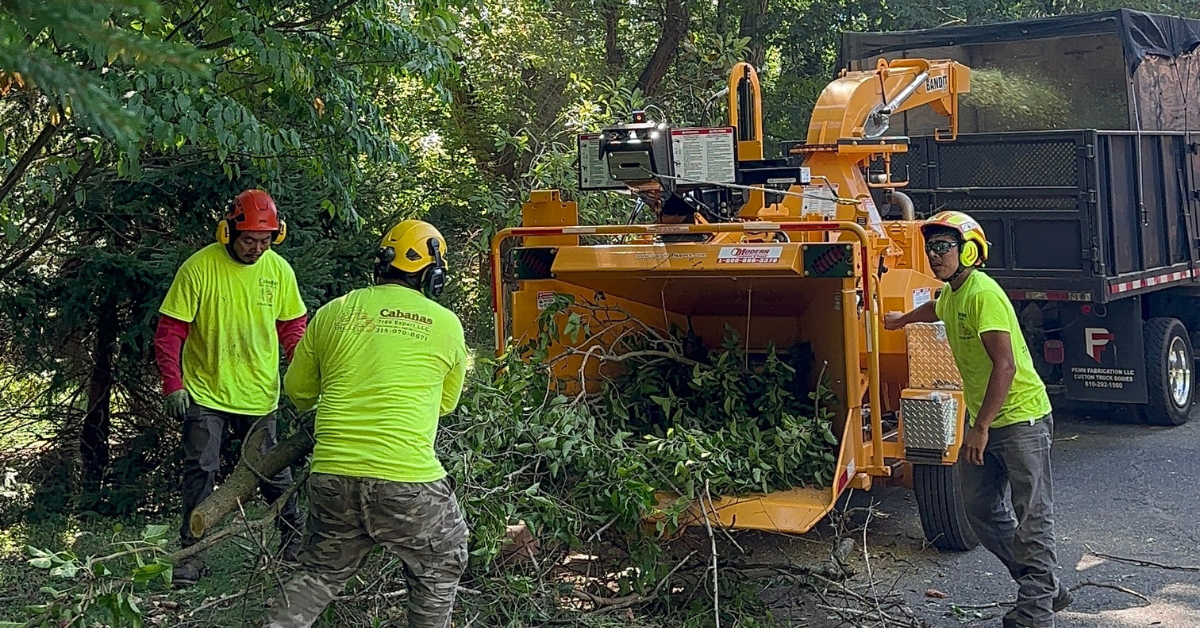 Brush hog mower clearing overgrown field vegetation