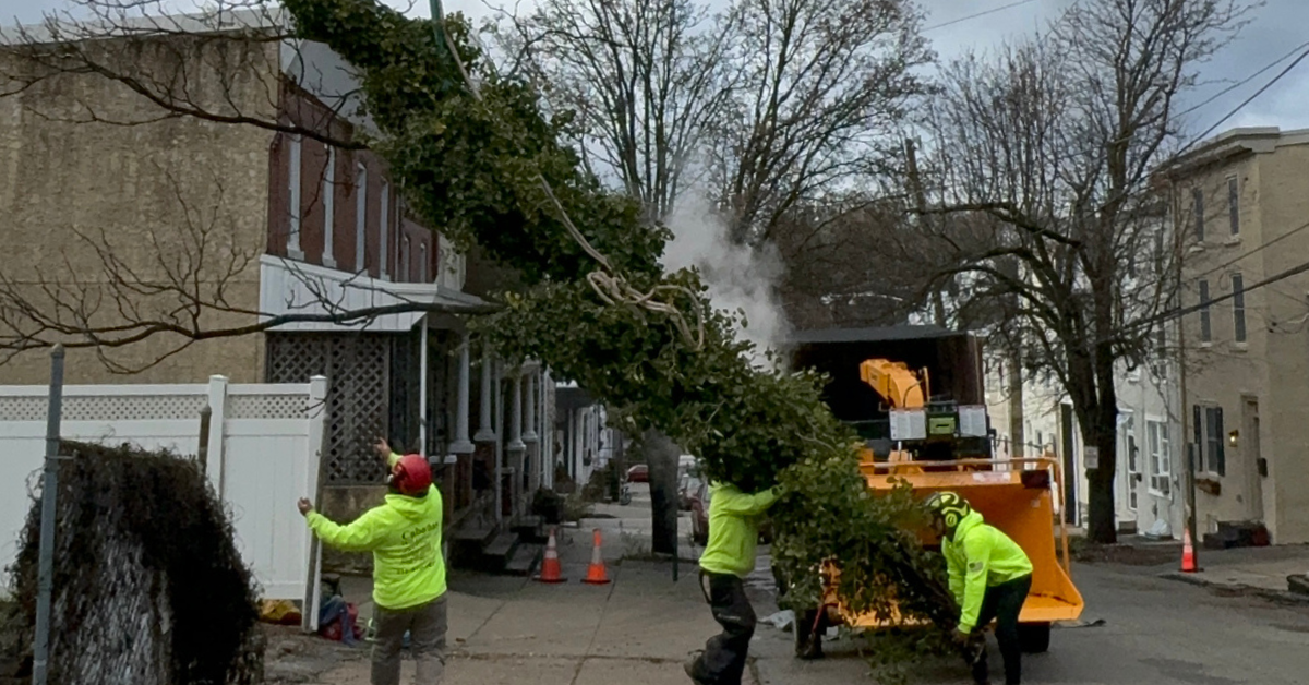Crew responding to a fallen tree on a house after a storm